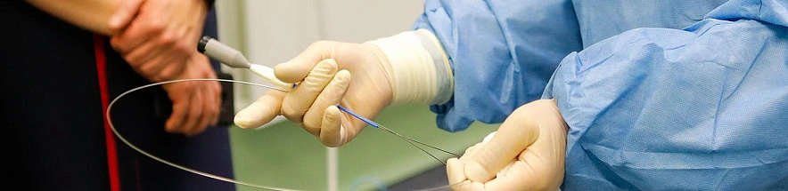 Фото: Антон Вергун