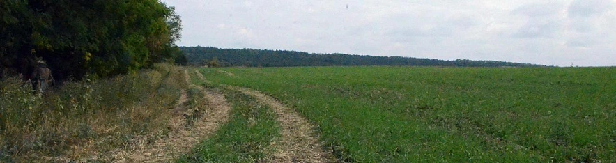 Фото: Сергей Егоров