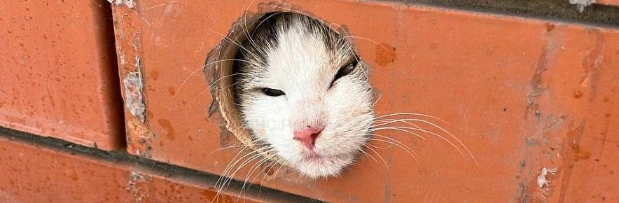 Фото: МЧС Белгородской области