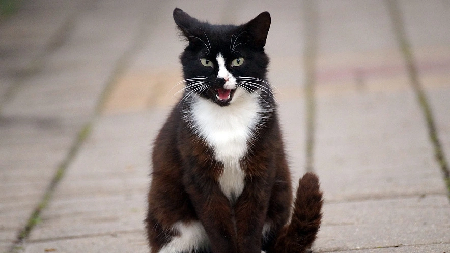 Фото: Сергей Егоров