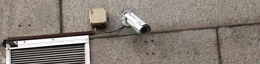 Фото: Сергей Егоров