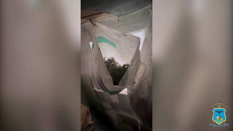 Фото: пресс-служба УМВД по Белгородской области