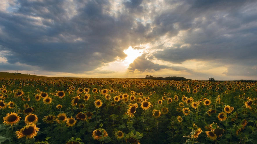 Фото: Юлия Мальцева