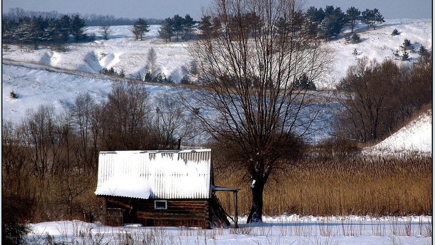 Фото: Владимир Щекалов