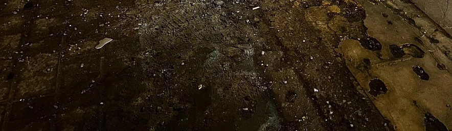 Фото: Анна Григор