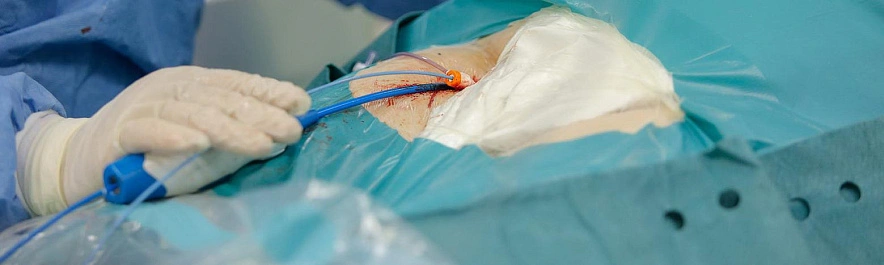 Фото: Антон Вергун