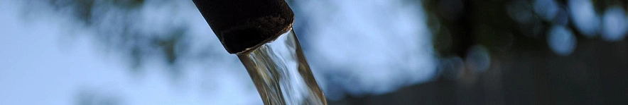 Фото: Сергей Егоров 