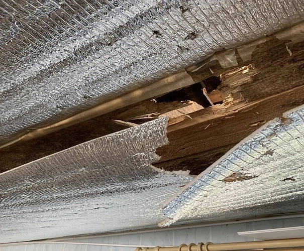 Фото: соцсети Геннадия Бондарева