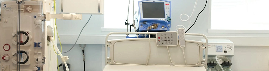 Фото: Валерия Алисова