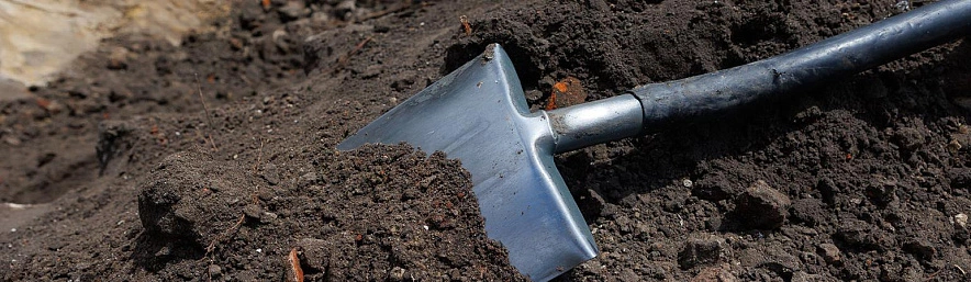 Фото: Антон Вергун