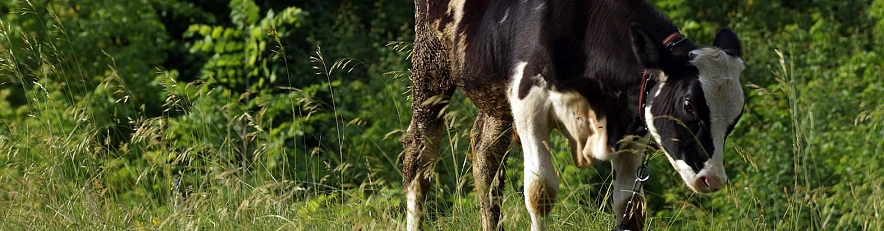 Фото: Сергей Егоров