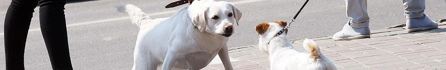 Фото: Сергей Егоров