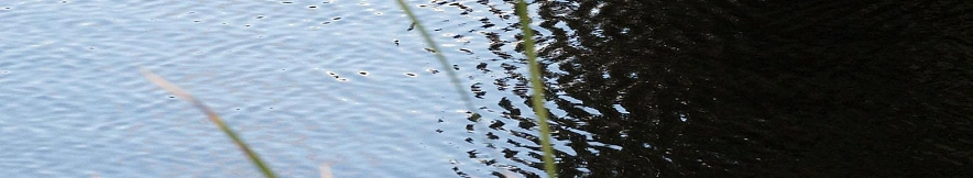 Фото: Сергей Егоров 