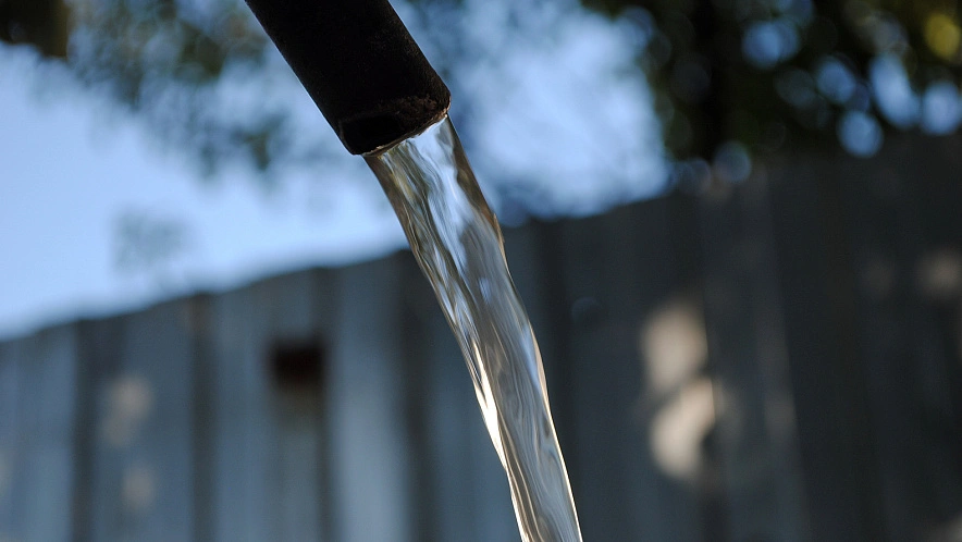 Фото: Сергей Егоров 