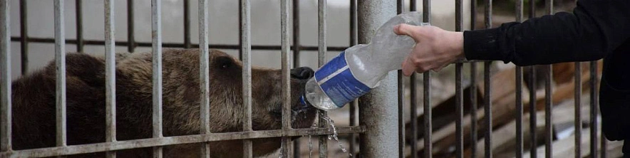 Фото: «СарИнформ»