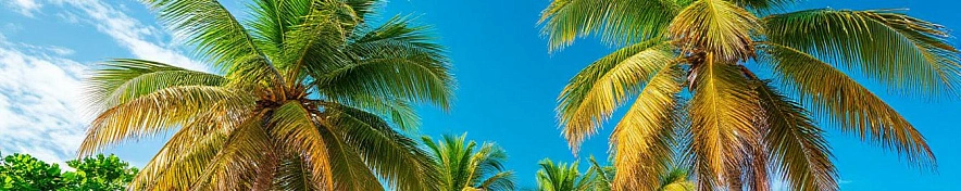 Фото: Шедеврум