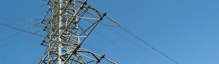 Фото: Сергей Егоров 