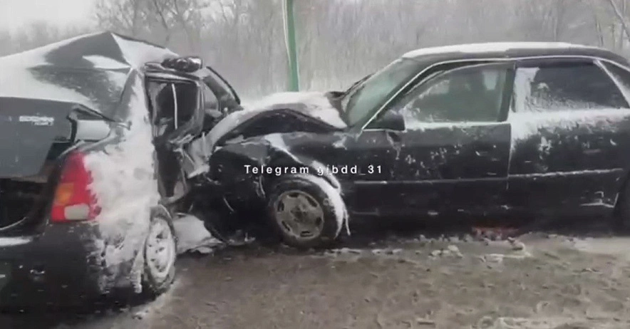 Фото: пресс-служба ГИБДД