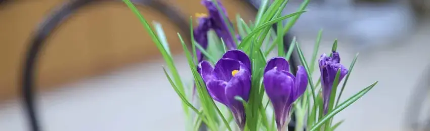 Фото: пресс-служба БелГУ