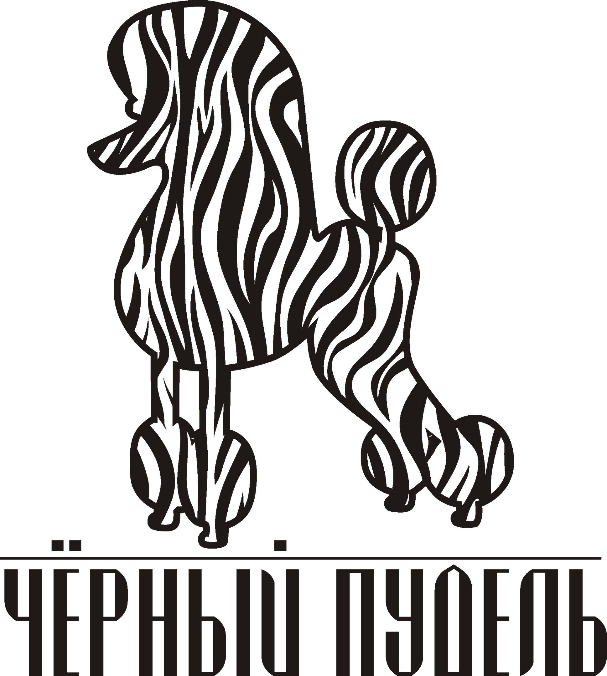 Черный пудель - груминг салон Белгород