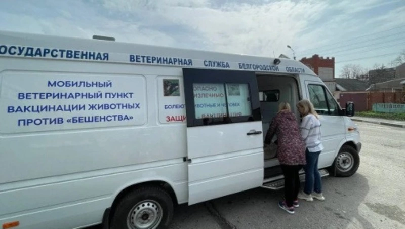 Фото: пресс-служба правительства Белгородской области