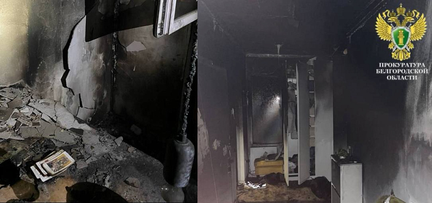 Фото: пресс-служба прокуратуры Белгородской области