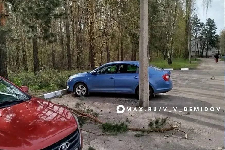 Фото: пресс-служба администрации Белгорода