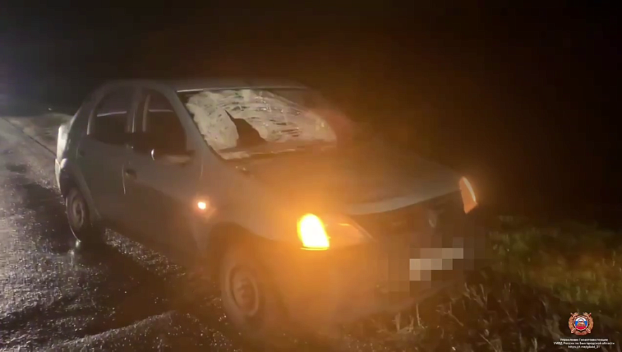 Фото: пресс-служба Госавтоинспекции Белгородской области