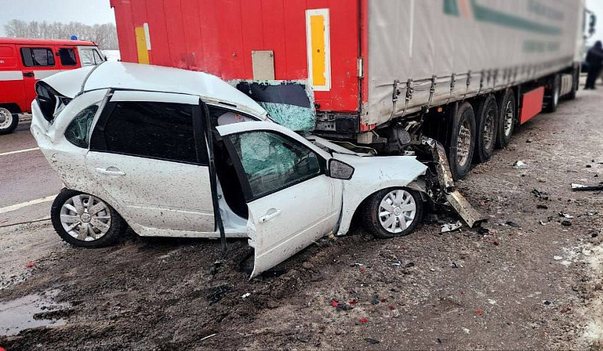 Фото: пресс-служба УМВД по Белгородской области