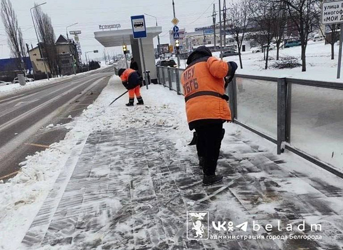 Фото: пресс-служба администрации Белгорода