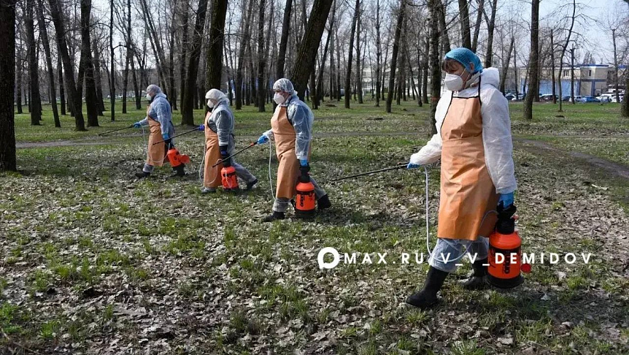 Фото: пресс-служба администрации Белгорода