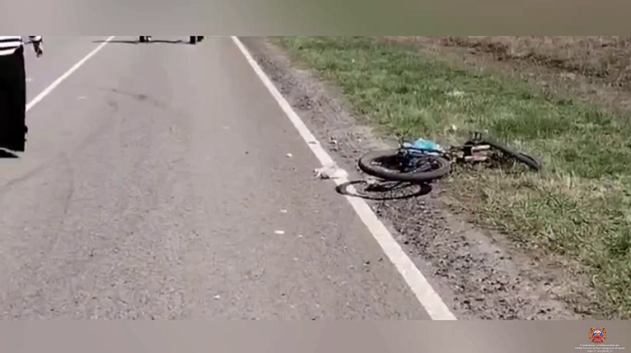 Фото: пресс-служба Госавтоинспекции Белгородской области