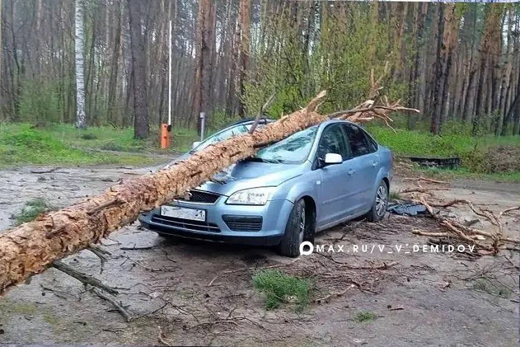 Фото: соцсети Валентина Демидова