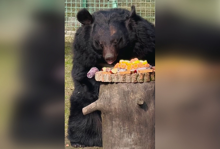 Фото: пресс-служба Белгородского зоопарка