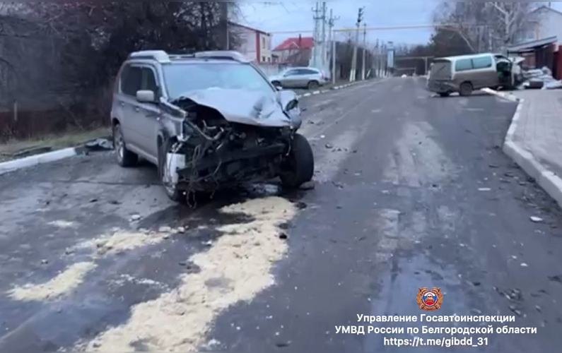 Фото: пресс-служба Госавтоинспекции Белгородской области