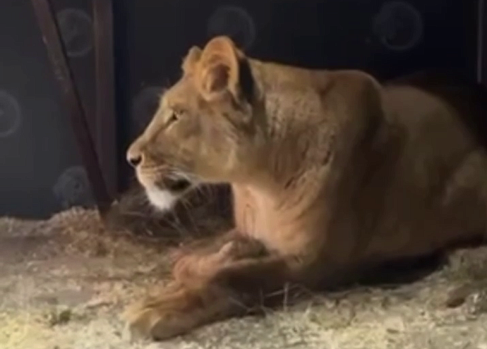 Фото: пресс-служба Белгородского зоопарка