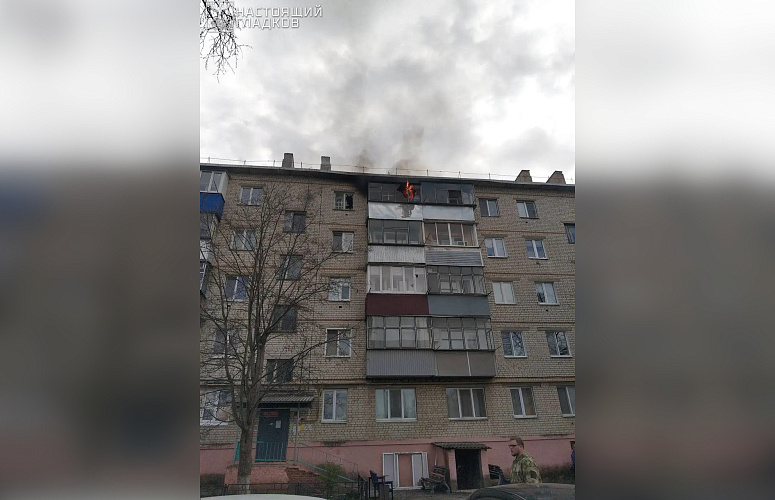 Фото: пресс-служба правительства Белгородской области