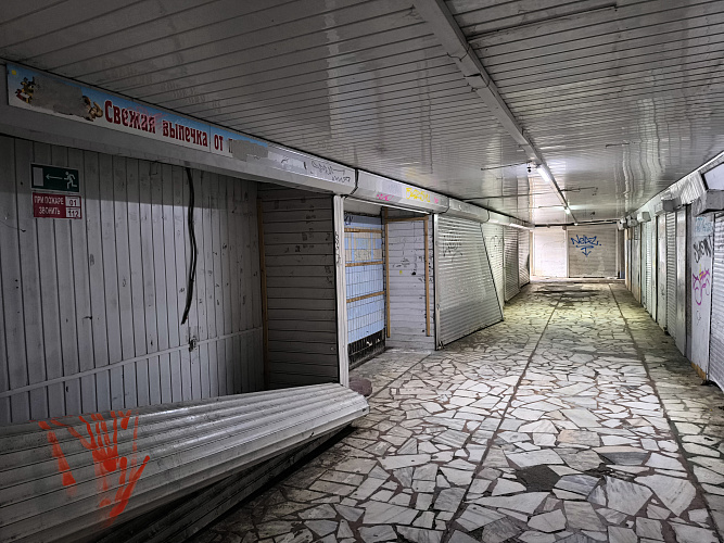 Фото: Сергей Егоров