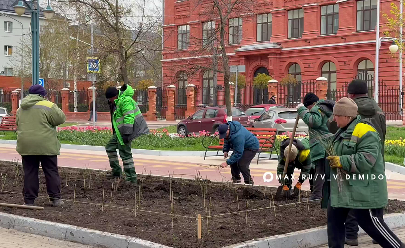 Фото: пресс-служба администрации Белгорода