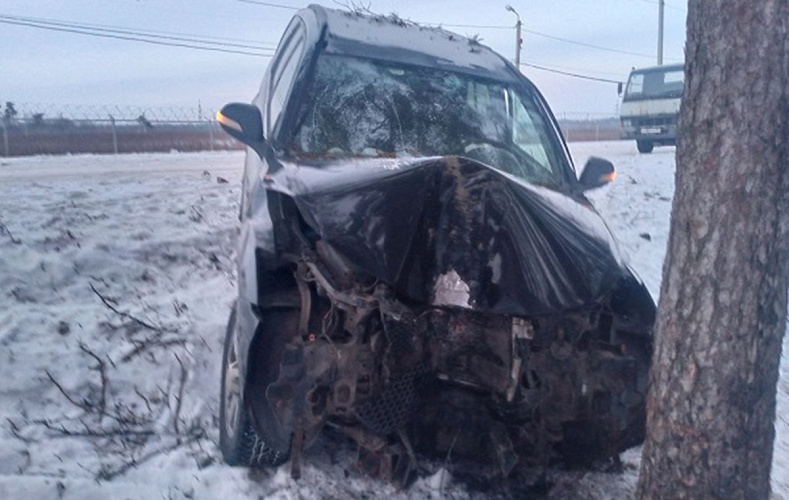 Фото: пресс-служба Госавтоинспекции Белгородской области