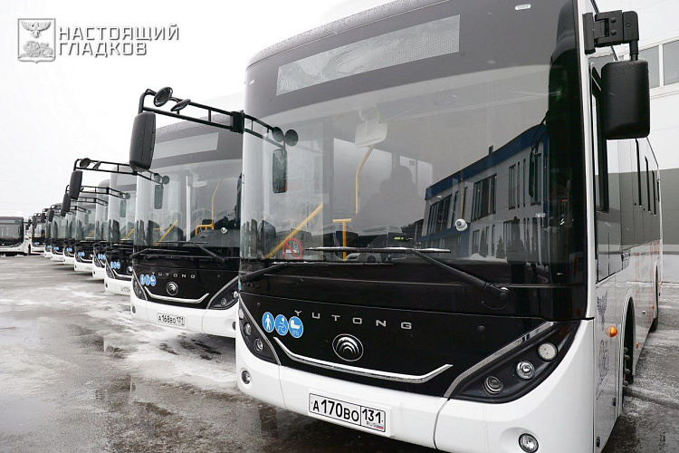 Фото: пресс-служба правительства Белгородской области