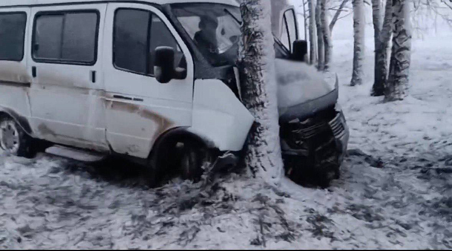 Фото: пресс-служба УМВД по Белгородской области