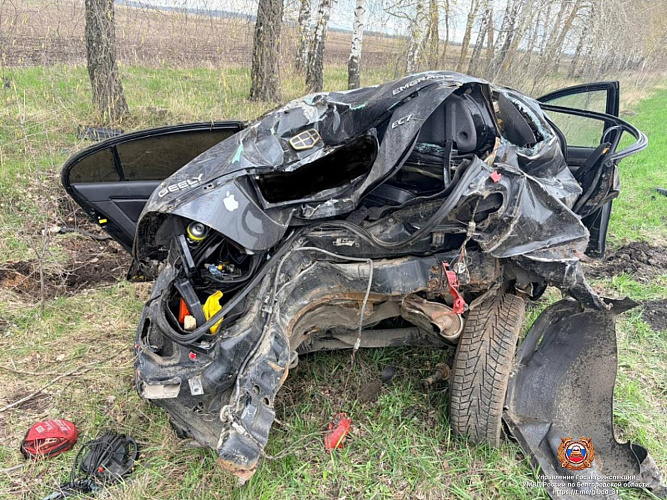 Фото: пресс-служба Госавтоинспекции Белгородской области