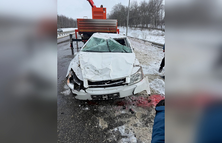 Фото: пресс-служба УМВД по Белгородской области