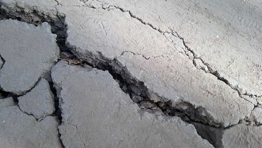 Фото: Сергей Егоров