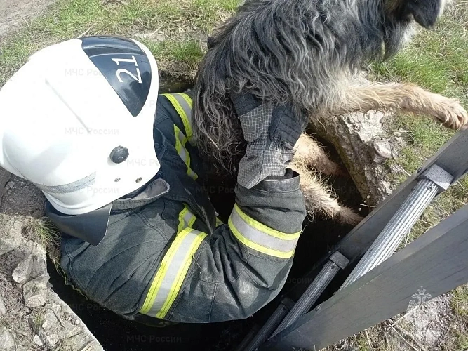 Фото: пресс-служба ГУ МЧС России по Белгородской области