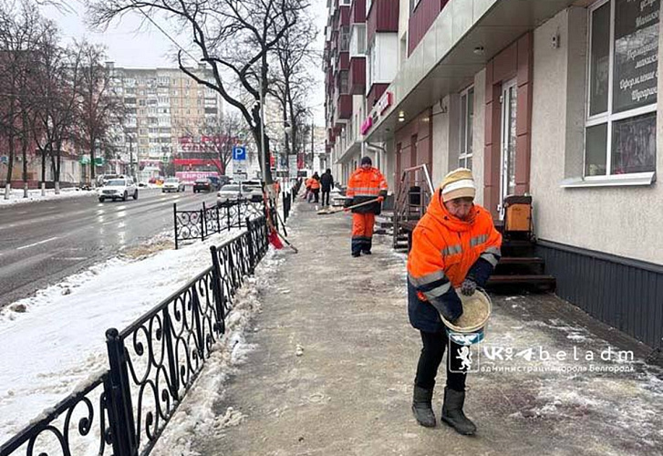Фото: пресс-служба администрации Белгорода