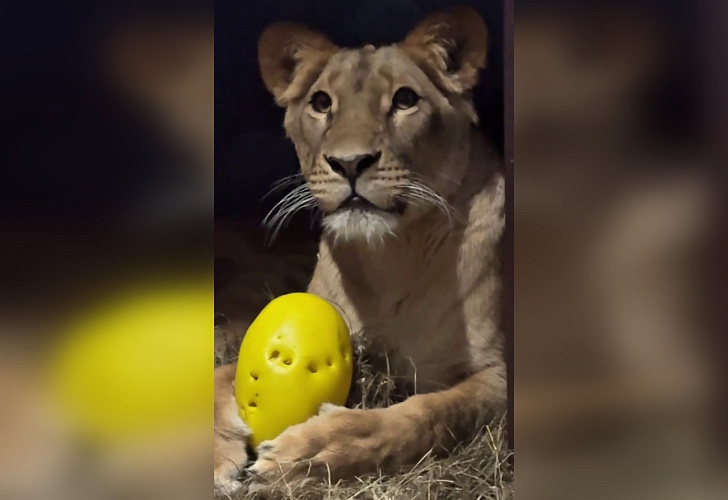 Фото: пресс-служба Белгородского зоопарка