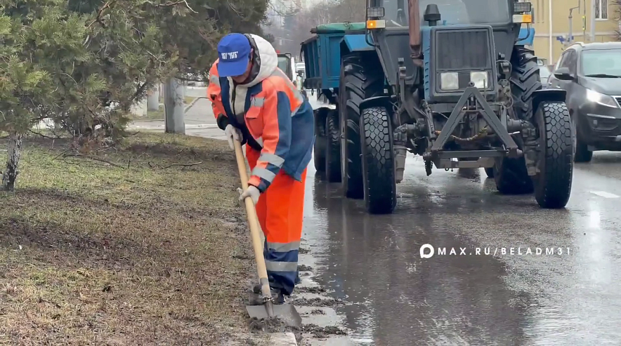 Фото: пресс-служба администрации Белгорода