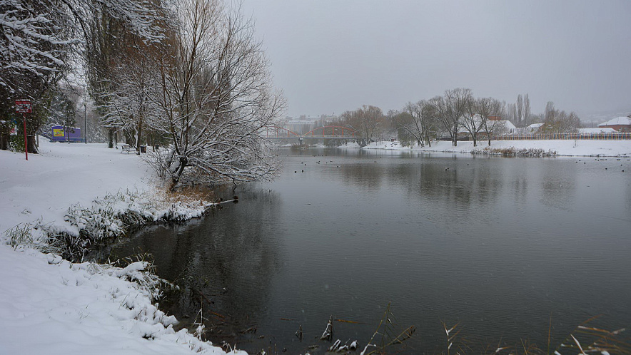 Фото: Антон Вергун
